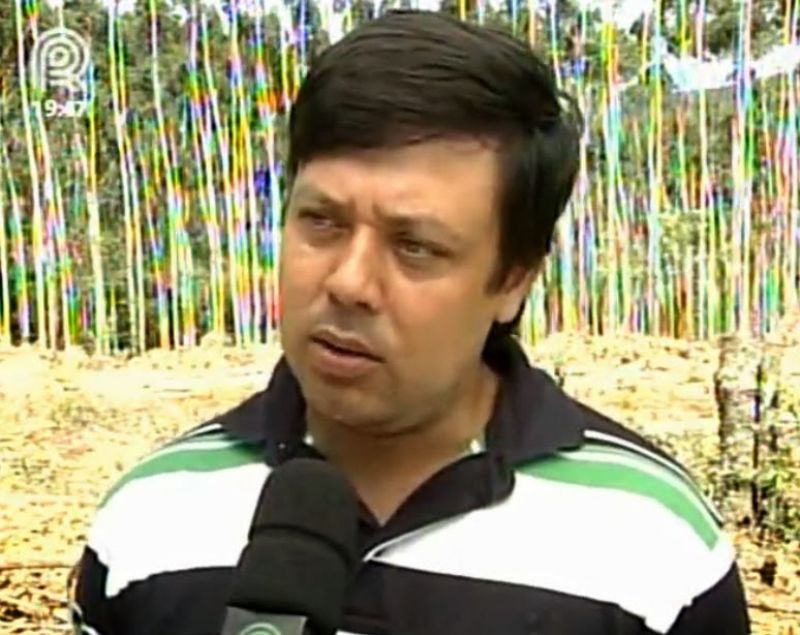 Rentabilidade dos silvicultores despencou devido ao altos custos de produo